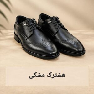 خرید کفش شیک مردانه